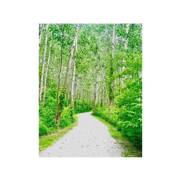 Other - Professional Photography Print